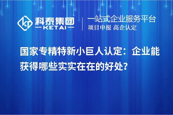 國家專精特新小巨人認定：企業(yè)能獲得哪些實實在在的好處？
