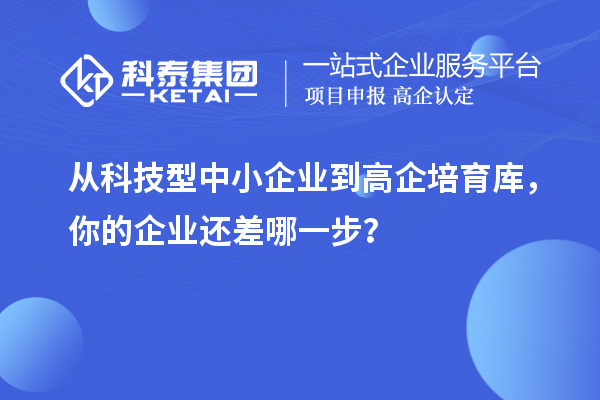 從科技型中小企業(yè)到高企培育庫，你的企業(yè)還差哪一步？