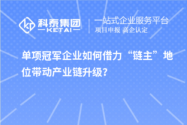 單項(xiàng)冠軍企業(yè)如何借力“鏈主”地位帶動(dòng)產(chǎn)業(yè)鏈升級(jí)？