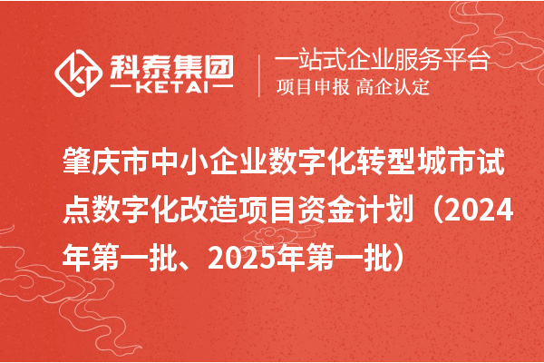 肇慶市中小企業(yè)數(shù)字化轉(zhuǎn)型城市試點(diǎn)數(shù)字化改造項(xiàng)目資金計(jì)劃（2024年第一批、2025年第一批）