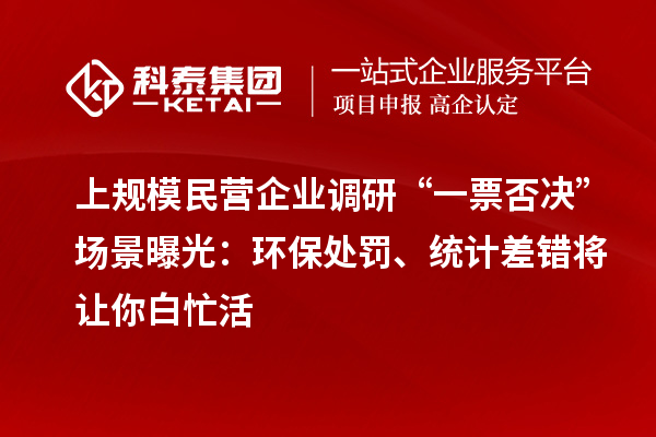 上規(guī)模民營企業(yè)調(diào)研“一票否決”場景曝光：環(huán)保處罰、統(tǒng)計(jì)差錯(cuò)將讓你白忙活
