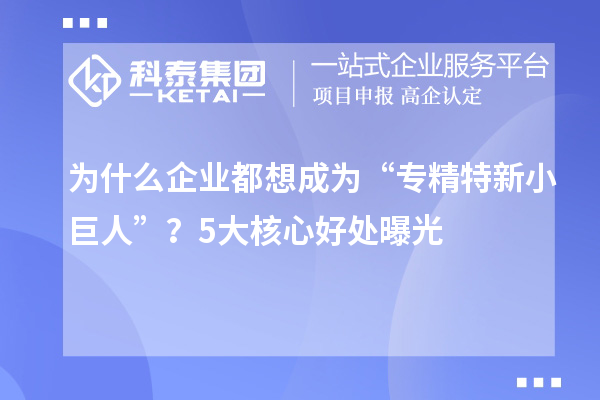 為什么企業(yè)都想成為“專精特新小巨人”？5大核心好處曝光
