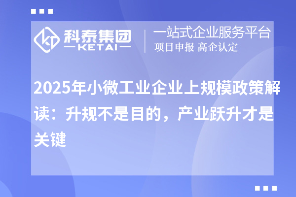 2025年小微工業(yè)企業(yè)上規(guī)模政策解讀：升規(guī)不是目的，產(chǎn)業(yè)躍升才是關(guān)鍵
