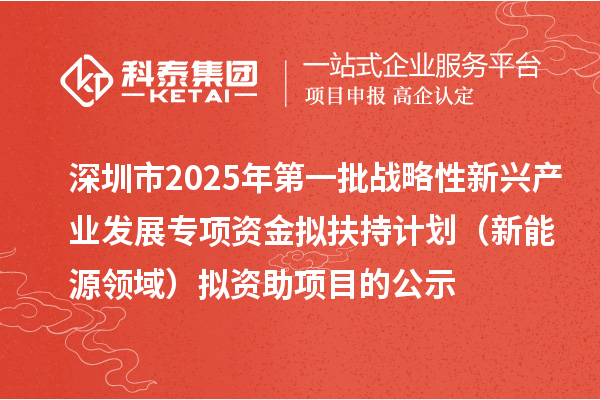 深圳市2025年第一批戰(zhàn)略性新興產(chǎn)業(yè)發(fā)展專項資金擬扶持計劃（新能源領(lǐng)域）擬資助項目的公示