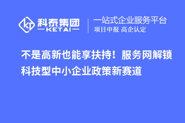 不是高新也能享扶持！服務(wù)網(wǎng)解鎖科技型中小企業(yè)政策新賽道
