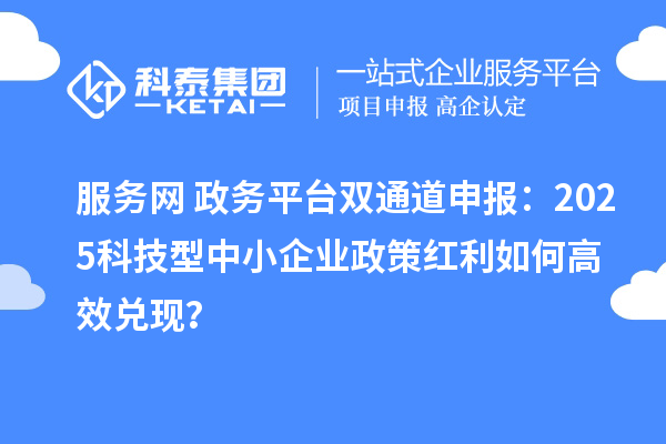 服務(wù)網(wǎng)+政務(wù)平臺(tái)雙通道申報(bào)：2025科技型中小企業(yè)政策紅利如何高效兌現(xiàn)？