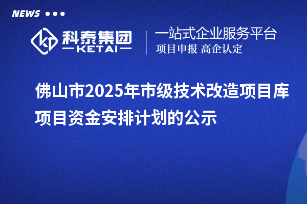 佛山市2025年市級(jí)技術(shù)改造項(xiàng)目庫(kù)項(xiàng)目資金安排計(jì)劃的公示