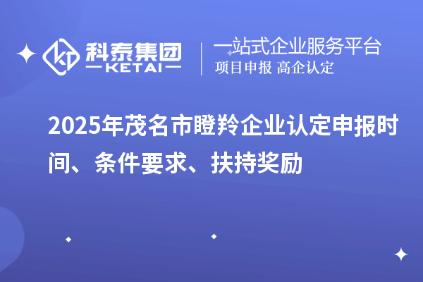 2025年茂名市瞪羚企業(yè)認(rèn)定申報(bào)時(shí)間、條件要求、扶持獎(jiǎng)勵(lì)