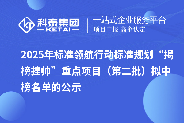 2025年標(biāo)準(zhǔn)領(lǐng)航行動(dòng)標(biāo)準(zhǔn)規(guī)劃“揭榜掛帥”重點(diǎn)項(xiàng)目（第二批）擬中榜名單的公示