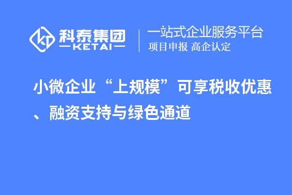 小微企業(yè)“上規(guī)?！笨上矶愂諆?yōu)惠、融資支持與綠色通道