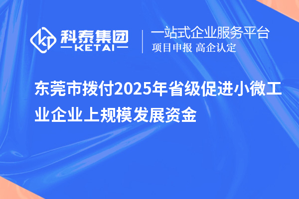 東莞市撥付2025年省級促進小微工業(yè)企業(yè)上規(guī)模發(fā)展資金