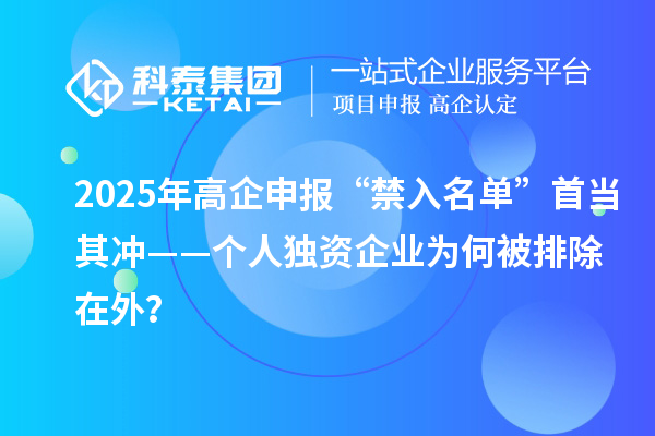 2025年高企申報“禁入名單”首當(dāng)其沖——個人獨(dú)資企業(yè)為何被排除在外？