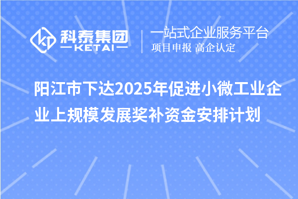 陽(yáng)江市下達(dá)2025年促進(jìn)小微工業(yè)企業(yè)上規(guī)模發(fā)展獎(jiǎng)補(bǔ)資金安排計(jì)劃