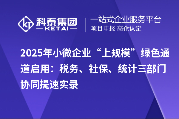 2025年小微企業(yè)“上規(guī)模”綠色通道啟用：稅務(wù)、社保、統(tǒng)計(jì)三部門(mén)協(xié)同提速實(shí)錄