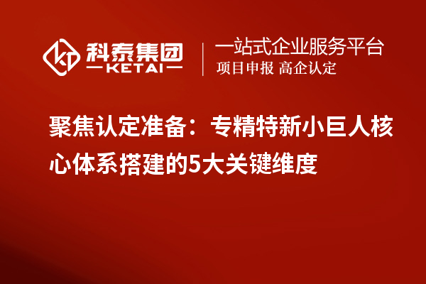 聚焦認(rèn)定準(zhǔn)備：專精特新小巨人核心體系搭建的5大關(guān)鍵維度
