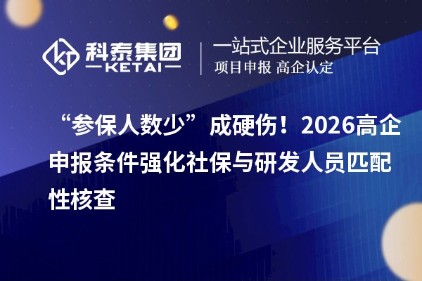 “參保人數(shù)少”成硬傷！2026高企申報(bào)條件強(qiáng)化社保與研發(fā)人員匹配性核查